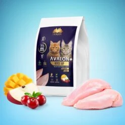 Avalon Petfood + Verse Kip Super Premium - Kattenvoer - 5Kg -Kattenbenodigdheden 1200x1200 149