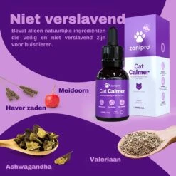 Aerend - Kalmerende Druppels Voor Katten - Anti-stress - Zanipro® 30ml - 100% Natuurlijk Uit Het Verenigd Koninkrijk - Met Ashwagandha & Valeriaan - No Stress Druppels Om Gedragsproblemen Te Verlichten - Voor Thuis En Onderweg -Kattenbenodigdheden 1200x1200 157