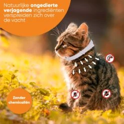Nafurapets Vlooienband Voor Kat – Anti Vlooien – Teken Band – 100% Natuurlijk – 8 Maanden Bescherming – Grote & Kleine Kat -Kattenbenodigdheden 1200x1200 202