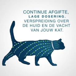 Seresto Teken- En Vlooienband - Anti Tekenmiddel - Kat - 38 Cm -Kattenbenodigdheden 1200x1200 204