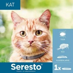 Seresto Teken- En Vlooienband - Anti Tekenmiddel - Kat - 38 Cm -Kattenbenodigdheden 1200x1200 205