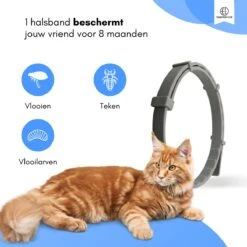 Essential Link Teken- En Vlooienband - Vlooienband Kat – Anti Vlooien – Vlooienmiddel - Tekenband - Diervriendelijk -Kattenbenodigdheden 1200x1200 208