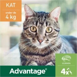 Bayer Advantage 40 Tegen Vlooien - <4kg - 4 X 0,4 Ml - Adult 27 Bayer Advantage 40 Tegen Vlooien - <4kg - 4 X 0,4 Ml - Adult -Kattenbenodigdheden 1200x1200 211