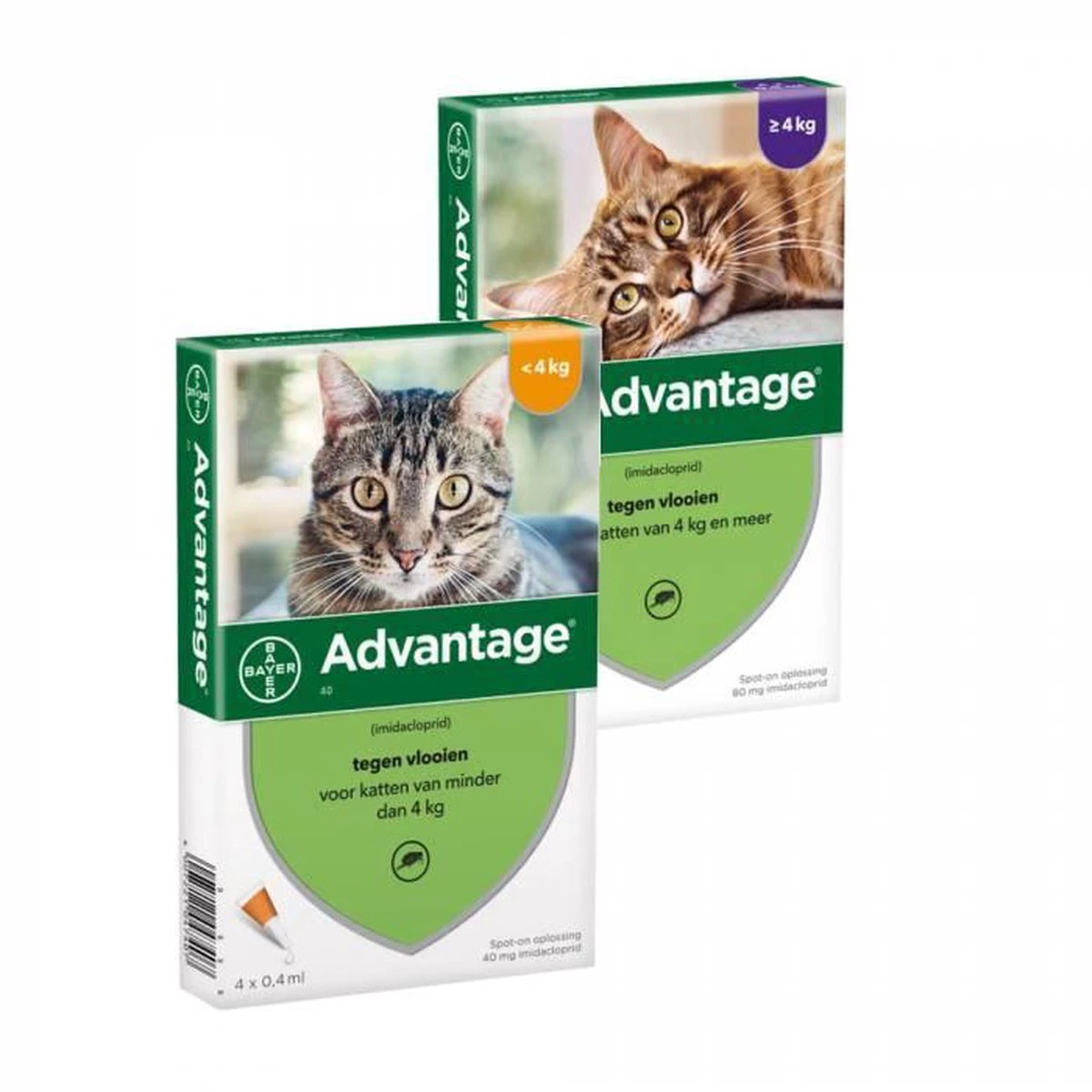 Bayer Advantage 40 Tegen Vlooien - <4kg - 4 X 0,4 Ml - Adult 19 Bayer Advantage 40 Tegen Vlooien - <4kg - 4 X 0,4 Ml - Adult - Afbeelding 17