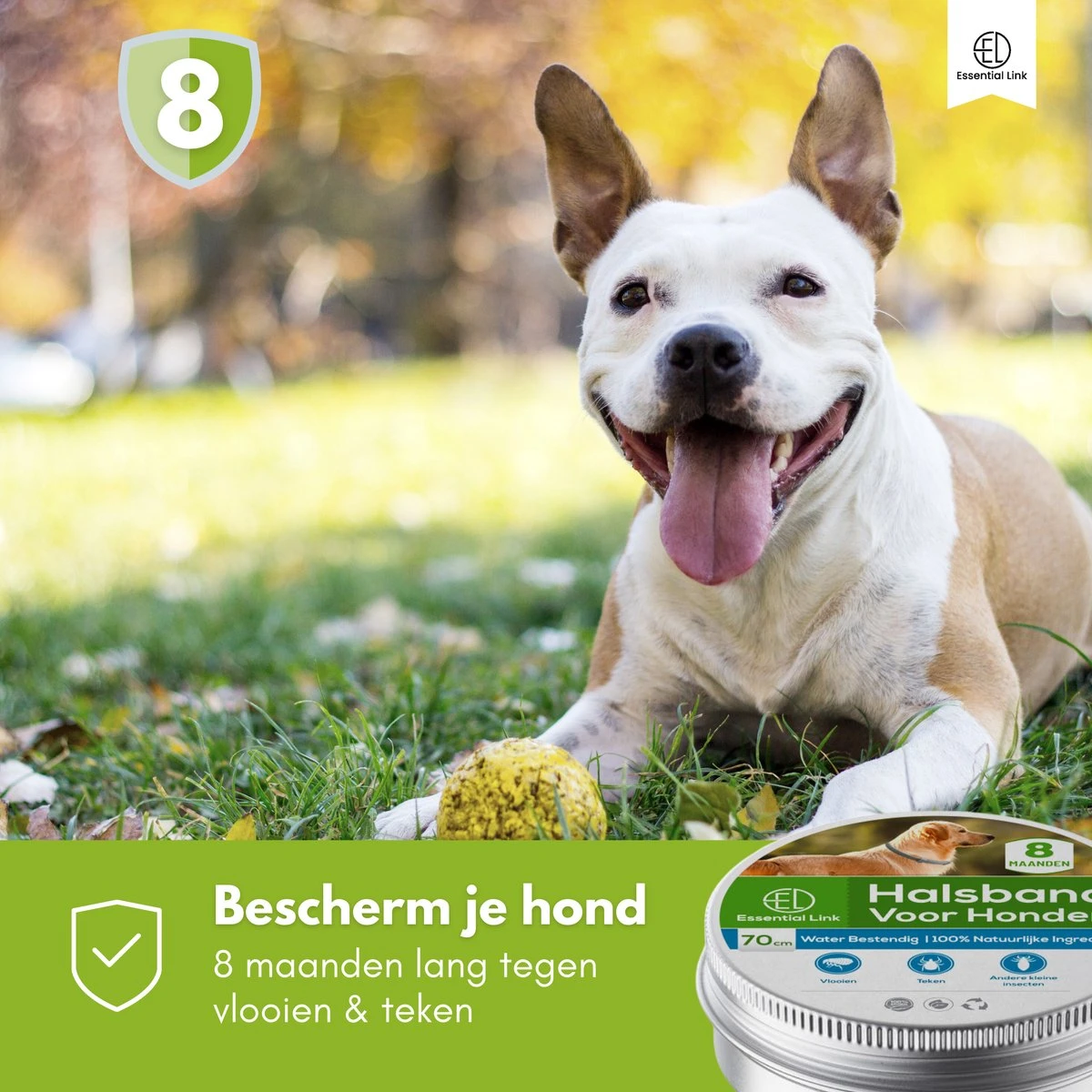 Essential Link Teken- En Vlooienband - Vlooienband Kat/Hond – Anti Vlooien – Vlooienmiddel - Tekenband - Diervriendelijk 4 Essential Link Teken- En Vlooienband - Vlooienband Kat/Hond – Anti Vlooien – Vlooienmiddel - Tekenband - Diervriendelijk - Afbeelding 2