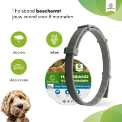 Essential Link Teken- En Vlooienband - Vlooienband Kat/Hond – Anti Vlooien – Vlooienmiddel - Tekenband - Diervriendelijk 11 Essential Link Teken- En Vlooienband - Vlooienband Kat/Hond – Anti Vlooien – Vlooienmiddel - Tekenband - Diervriendelijk -Kattenbenodigdheden 1200x1200 214