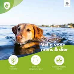 Essential Link Teken- En Vlooienband - Vlooienband Kat/Hond – Anti Vlooien – Vlooienmiddel - Tekenband - Diervriendelijk 13 Essential Link Teken- En Vlooienband - Vlooienband Kat/Hond – Anti Vlooien – Vlooienmiddel - Tekenband - Diervriendelijk -Kattenbenodigdheden 1200x1200 216