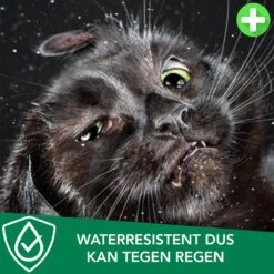 Teken- En Vlooienband Voor Katten PLUS - Natuurlijk Middel Tegen Vlooien En Teken - 100% Natuurlijk - 38,5 CM - Tot 8 Maand Werkzaam - Biologisch -Kattenbenodigdheden 1200x1200 218