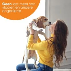 Nafurapets Vlooienband Voor Hond – Anti Vlooien – Teken Band – 100% Natuurlijk – 8 Maanden Bescherming – Grote & Kleine Hond 16 Nafurapets Vlooienband Voor Hond – Anti Vlooien – Teken Band – 100% Natuurlijk – 8 Maanden Bescherming – Grote & Kleine Hond -Kattenbenodigdheden 1200x1200 223