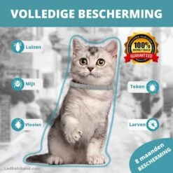 Biologische Vlooien- En Tekenband Voor Katten - BLAUW - Zonder Giftige Pesticiden - Veilig En Verantwoord 14 Biologische Vlooien- En Tekenband Voor Katten - BLAUW - Zonder Giftige Pesticiden - Veilig En Verantwoord -Kattenbenodigdheden 1200x1200 231