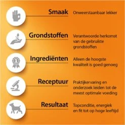 Fokker Country Balance - Wild En Gevogelte - Kattenvoer - 10 Kg -Kattenbenodigdheden 1200x1200 24