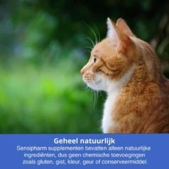 Sensipharm Omniderma Voor Kat, Hondje, Cavia, Konijn - Voedingssupplement Voor Huid En Vacht, Bij Jeuk, Eczeem & Hotspot - 90 Tabletten à 250 Mg -Kattenbenodigdheden 1200x1200 247