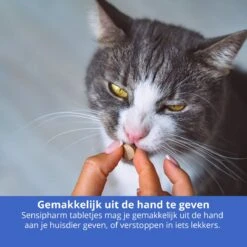 Sensipharm Omniderma Voor Kat, Hondje, Cavia, Konijn - Voedingssupplement Voor Huid En Vacht, Bij Jeuk, Eczeem & Hotspot - 90 Tabletten à 250 Mg -Kattenbenodigdheden 1200x1200 249