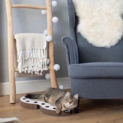 Interactief Design Krabspeelgoed Voor Katten Van Duurzaam Karton - District 70 SNAKE - Zwart -Kattenbenodigdheden 1200x1200 254