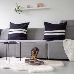 Interactief Design Krabspeelgoed Voor Katten Van Duurzaam Karton - District 70 SNAKE - Zwart -Kattenbenodigdheden 1200x1200 255