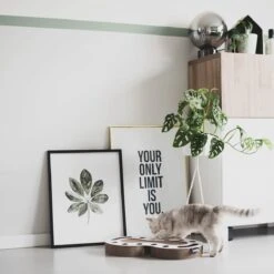 Interactief Design Krabspeelgoed Voor Katten Van Duurzaam Karton - District 70 SNAKE - Zwart -Kattenbenodigdheden 1200x1200 257