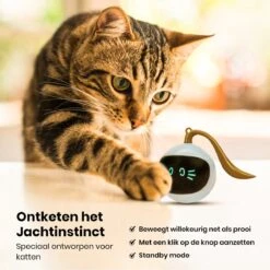 Otiume Slimme Katten Speeltje - Interactieve Zelf Rollende Bal Voor Katten - Kattenspeeltjes -Speelgoed Voor Dieren - USB Oplaadbaar -Kattenbenodigdheden 1200x1200 263