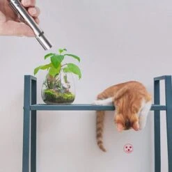 Merkloos Laserpen - Daily Accessoires - USB Oplaadbaar - Kattenspeeltjes - Laserlampje - 7 Verschillende Standen - RVS Zilver - Zaklamp - UV Lamp – Kattenspeelgoed -Kattenbenodigdheden 1200x1200 272