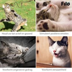 Filo Kattenspeelgoed Set 30 Stuks - Kattenspeeltje Kattentunnel - Kattenhengel - Kattenveertjes - Vis Met Kattenkruid - Kattenspeeltjes Intelligentie Kitten - Interactief Speelgoed Katten - Poezen Speeltjes -Kattenbenodigdheden 1200x1200 276