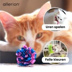 Allerion Kattenspeeltjes Set – 30-delig – Intelligentie -Kattenbenodigdheden 1200x1200 288