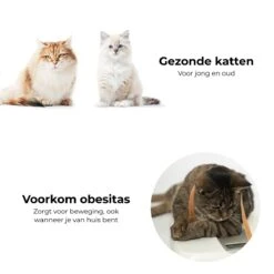 Pettadore Springs - Kattenveertjes - Kattenspeelgoed - Kattenspeeltjes - 9 Stuks 18 Pettadore Springs - Kattenveertjes - Kattenspeelgoed - Kattenspeeltjes - 9 Stuks -Kattenbenodigdheden 1200x1200 291