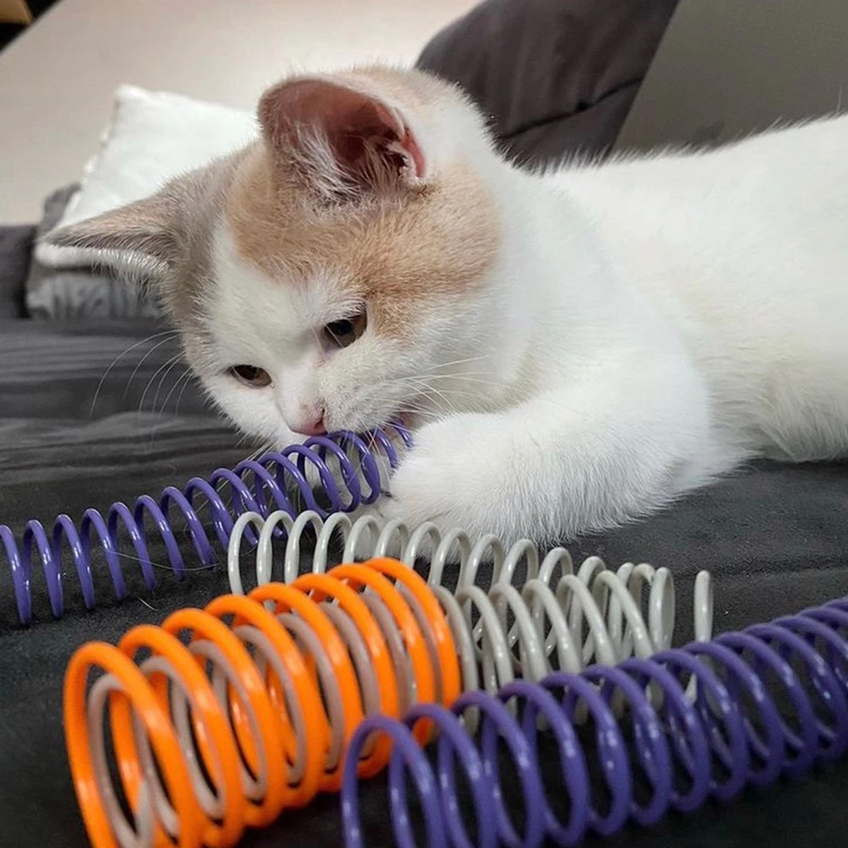 Pettadore Springs - Kattenveertjes - Kattenspeelgoed - Kattenspeeltjes - 9 Stuks 11 Pettadore Springs - Kattenveertjes - Kattenspeelgoed - Kattenspeeltjes - 9 Stuks - Afbeelding 9