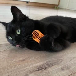 Pettadore Springs - Kattenveertjes - Kattenspeelgoed - Kattenspeeltjes - 9 Stuks 23 Pettadore Springs - Kattenveertjes - Kattenspeelgoed - Kattenspeeltjes - 9 Stuks -Kattenbenodigdheden 1200x1200 296