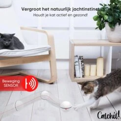 Catchit!® Interactieve Zelfrollende Bal Katten - Kattenspeeltjes - Inclusief USB Kabel En Staartjes - Kattenspeelgoed - Smart - Grijs -Kattenbenodigdheden 1200x1200 301