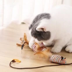 Kattenspeelgoed - Set Met 7 Kattenspeeltjes - Complete Set - Kattenhengel - Speelmuis -Kattenbenodigdheden 1200x1200 314