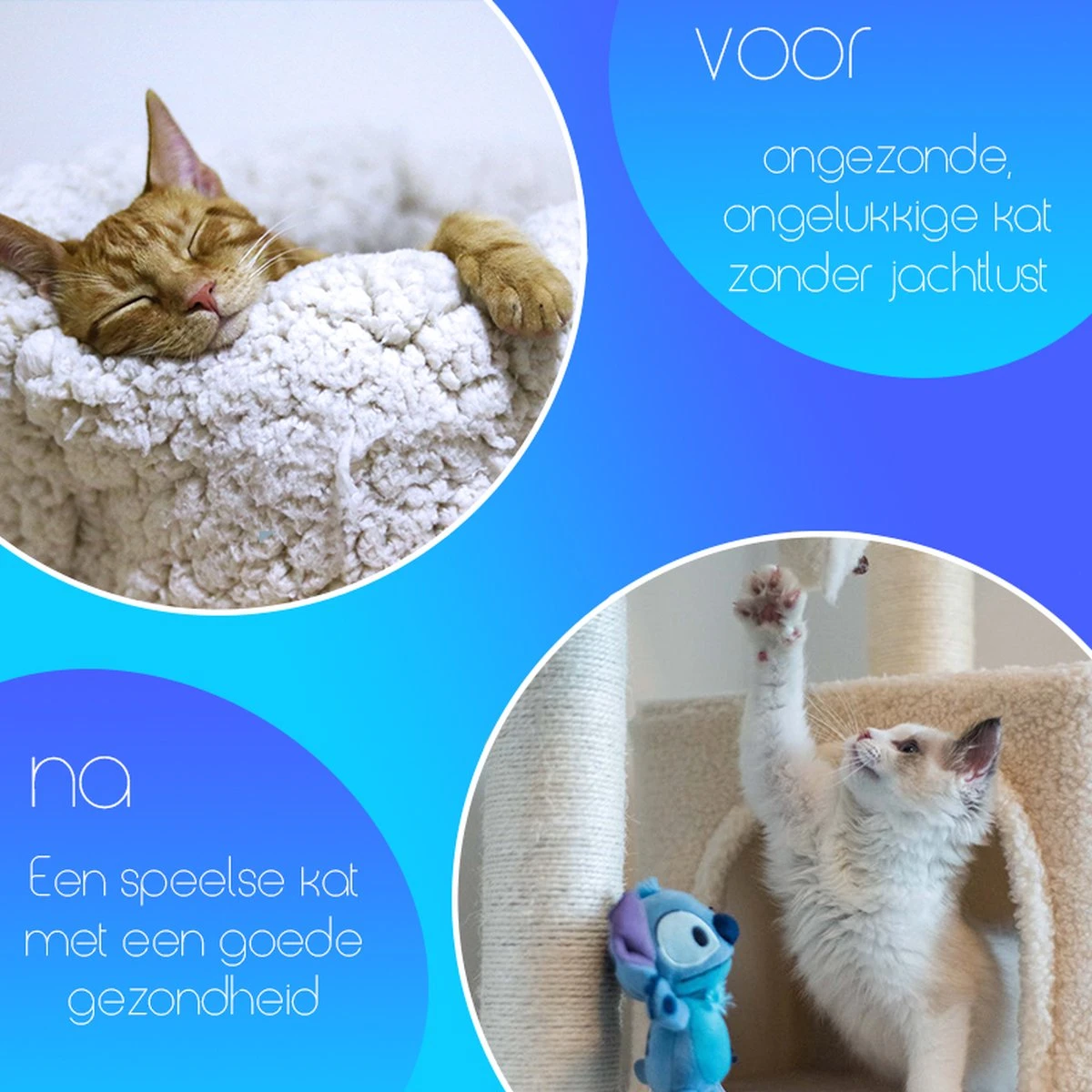 TocaToca Kip- Interactieve Zelf Bewegende Speeltje- Kattenspeeltjes- Intelligentie- Kattenspeelgoed- Kip Voor Katten- Laser- USB- Speelgoed- Geluid- Oranje 5 TocaToca Kip- Interactieve Zelf Bewegende Speeltje- Kattenspeeltjes- Intelligentie- Kattenspeelgoed- Kip Voor Katten- Laser- USB- Speelgoed- Geluid- Oranje - Afbeelding 3