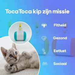 TocaToca Kip- Interactieve Zelf Bewegende Speeltje- Kattenspeeltjes- Intelligentie- Kattenspeelgoed- Kip Voor Katten- Laser- USB- Speelgoed- Geluid- Oranje 10 TocaToca Kip- Interactieve Zelf Bewegende Speeltje- Kattenspeeltjes- Intelligentie- Kattenspeelgoed- Kip Voor Katten- Laser- USB- Speelgoed- Geluid- Oranje -Kattenbenodigdheden 1200x1200 319