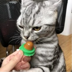 Merkloos EPIN | Kattenkruid Lik Snoepje | Plak Strip | Katten Snacks | Katten Snoep -Kattenbenodigdheden 1200x1200 328