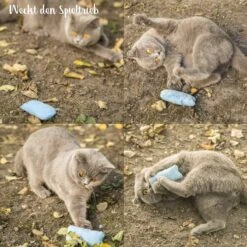 Mint Kitty Katten Speelgoed Set Van Kattenkussen Met Kattenkruid -Kattenbenodigdheden 1200x1200 333