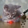 Katten Laser - Dierenwinkel Nederland -Kattenbenodigdheden 1200x1200 334