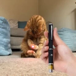 Katten Laser - Dierenwinkel Nederland -Kattenbenodigdheden 1200x1200 335