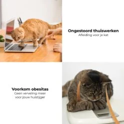 Pettadore - Laser Kattenspeeltjes - Smart Met Autoplay En Handmatig Via App -Kattenbenodigdheden 1200x1200 355