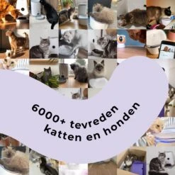 Pettadore - Laser Kattenspeeltjes - Smart Met Autoplay En Handmatig Via App -Kattenbenodigdheden 1200x1200 357