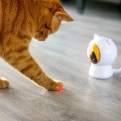 Pettadore - Laser Kattenspeeltjes - Smart Met Autoplay En Handmatig Via App -Kattenbenodigdheden 1200x1200 360