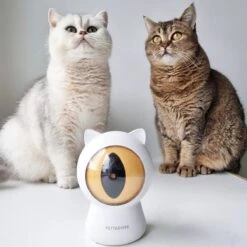 Pettadore - Laser Kattenspeeltjes - Smart Met Autoplay En Handmatig Via App -Kattenbenodigdheden 1200x1200 362