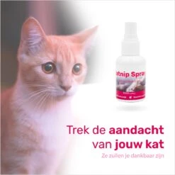 LBB - Catnip Spray 50ML - 100% Natuurlijk - CE Gekeurd - Kattenkruid Spray - Catnip Speelgoed - Valeriaan - Kat - Katten -Kattenbenodigdheden 1200x1200 371