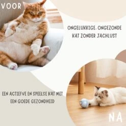 MyBuddy - Interactieve Zelf Rollende Bal - Kattenspeeltjes - Kattenspeelgoed - Bal Voor Katten - LED Lights - Speelgoed - USB - Roze 14 MyBuddy - Interactieve Zelf Rollende Bal - Kattenspeeltjes - Kattenspeelgoed - Bal Voor Katten - LED Lights - Speelgoed - USB - Roze -Kattenbenodigdheden 1200x1200 374