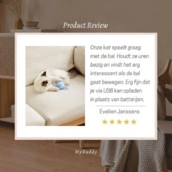 MyBuddy - Interactieve Zelf Rollende Bal - Kattenspeeltjes - Kattenspeelgoed - Bal Voor Katten - LED Lights - Speelgoed - USB - Roze 17 MyBuddy - Interactieve Zelf Rollende Bal - Kattenspeeltjes - Kattenspeelgoed - Bal Voor Katten - LED Lights - Speelgoed - USB - Roze -Kattenbenodigdheden 1200x1200 376