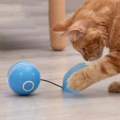 Otiume Elektrische Speelbal - Slimme Interactieve Zelfrollende Bal - Speelgoed Voor Katten - Kattenspeelgoed - Blauw -Kattenbenodigdheden 1200x1200 377