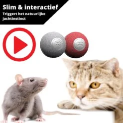 Cheerble Mini Ball 2.0 - Slimme Interactieve Zelf Rollende Bal Voor Katten - 3 Speelmodi - Kattenspeeltjes - USB Oplaadbaar - Rood 19 Cheerble Mini Ball 2.0 - Slimme Interactieve Zelf Rollende Bal Voor Katten - 3 Speelmodi - Kattenspeeltjes - USB Oplaadbaar - Rood -Kattenbenodigdheden 1200x1200 378