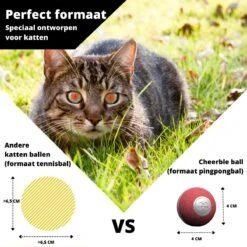 Cheerble Mini Ball 2.0 - Slimme Interactieve Zelf Rollende Bal Voor Katten - 3 Speelmodi - Kattenspeeltjes - USB Oplaadbaar - Rood 20 Cheerble Mini Ball 2.0 - Slimme Interactieve Zelf Rollende Bal Voor Katten - 3 Speelmodi - Kattenspeeltjes - USB Oplaadbaar - Rood -Kattenbenodigdheden 1200x1200 379