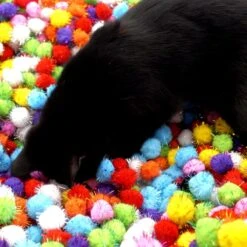 Make Me Purr Glitter Pompon Ballen (10 Stuks) - Kattenspeeltjes - Kattenspeelgoed - Speelgoed Voor Katten - Kat Speeltje Bal - Kitten Speeltjes Balletjes -Kattenbenodigdheden 1200x1200 382