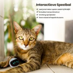 Otiume Interactieve Speelbal - Slimme Interactieve Jaag Speeltje Voor Katten - Kattenspeeltjes - Intelligente Jaagbal - AI -USB Oplaadbaar - LED - Blauw -Kattenbenodigdheden 1200x1200 386