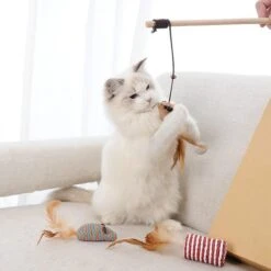 GIZMO Luxe Kattenspeeltjes Set - 7 Speeltjes - Interactieve Kattenhengel, Kattenspeelgoed & Speelmuisjes - Kitten Speeltjes 21 GIZMO Luxe Kattenspeeltjes Set - 7 Speeltjes - Interactieve Kattenhengel, Kattenspeelgoed & Speelmuisjes - Kitten Speeltjes -Kattenbenodigdheden 1200x1200 396