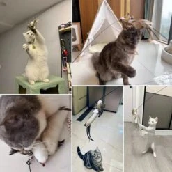 Kattenspeelgoed - Simulatie Vogel - Interactieve Grappige Kattenspeeltjes - Kattenhengel Met Zuignap + 4 Vogels + Een Kattenhengel GRATIS 20 Kattenspeelgoed - Simulatie Vogel - Interactieve Grappige Kattenspeeltjes - Kattenhengel Met Zuignap + 4 Vogels + Een Kattenhengel GRATIS -Kattenbenodigdheden 1200x1200 399