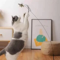 Kattenspeelgoed - Simulatie Vogel - Interactieve Grappige Kattenspeeltjes - Kattenhengel Met Zuignap + 4 Vogels + Een Kattenhengel GRATIS 24 Kattenspeelgoed - Simulatie Vogel - Interactieve Grappige Kattenspeeltjes - Kattenhengel Met Zuignap + 4 Vogels + Een Kattenhengel GRATIS -Kattenbenodigdheden 1200x1200 402